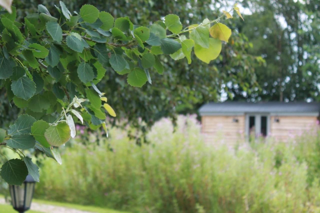 Luxury Shepherds Hut - The Sweet Pea By The Lake York Buitenkant foto